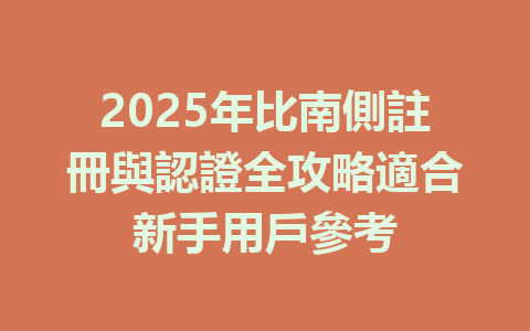 2025年比南側註冊與認證全攻略適合新手用戶參考 一